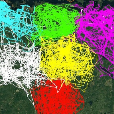 A map showing the territories of several wolf packs tracked via GPS.